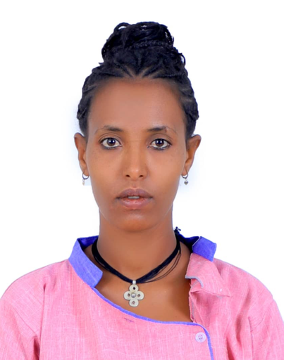 ATITEGEB AYZUACHEW CHANIE