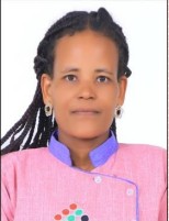 WORKE NIGUSSE KITILA