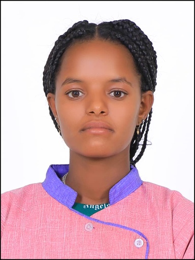 SINTAYEHU NEGALGN DOLEBO